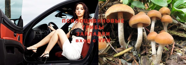 мяу мяу мука Покровск