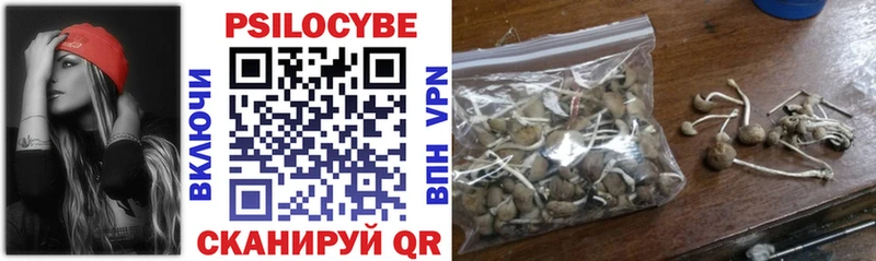 Псилоцибиновые грибы Psilocybine cubensis  где можно купить   это состав  Богданович 